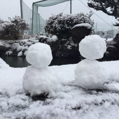 いねちさんのプロフィール画像