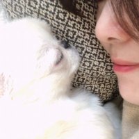 oonoaki (@boo90771163) 's Twitter Profile