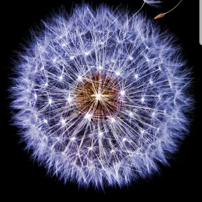 Prisca31833737's profile picture. attention