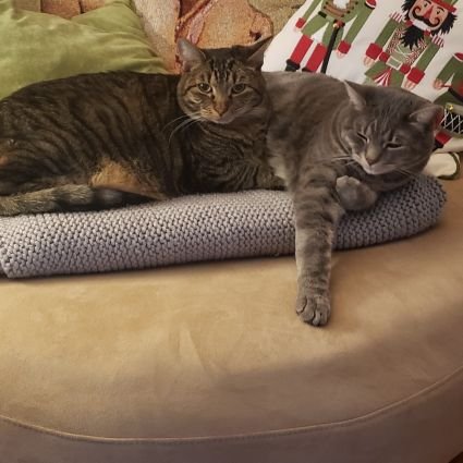 AcademiaGenie's profile picture. ---You're too young to let the world break you...---K.T. T.Swift💜JoBros💜 방탄소년단⁷💜 NYR💙NYM💙Vamos Rafa! ❤️Proud RU Alum❤️