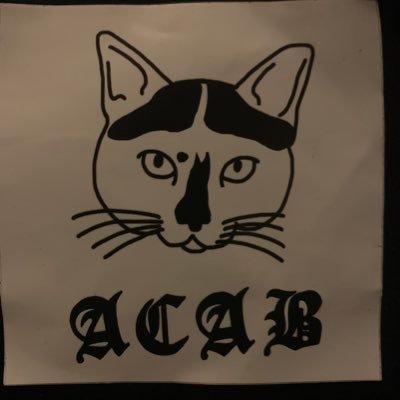 Profile ID: picture of a sticker with a drawn cat and “ACAB”. banner ID: graffiti on train saying “end ice now!!”