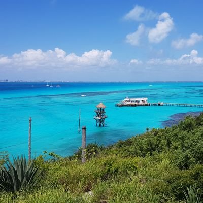 MICHELa84552050's profile picture. jovial