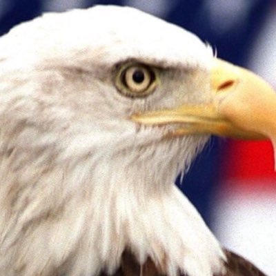 RichardMarx6652's profile picture. The Best of the Conservatives on Twitter.