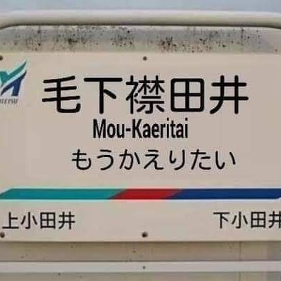 pilikapuripuri's profile picture. 37才♥(^_^)v レオナおじたん好き🤤猫派(｡•᎔•｡) アラサー？何それ美味しい？☺️