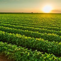 Agro Precisión Venezuela (@precision_vzla) 's Twitter Profile