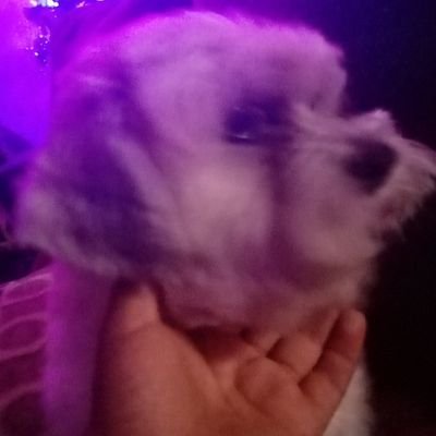 Jose10182674's profile picture. conoser lugares