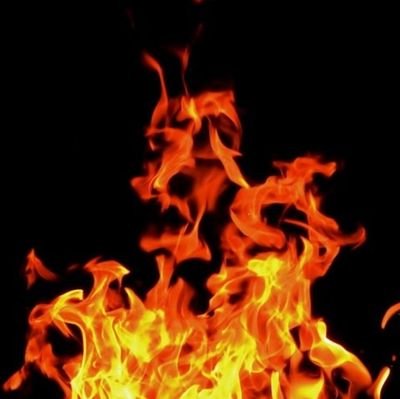 Timothy31399212's profile picture. 