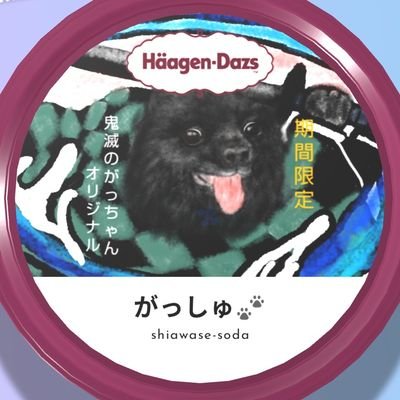 まこちゃんさんのプロフィール画像