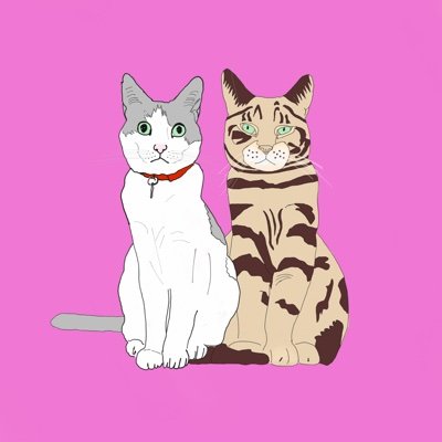 We make bright, funky and contemporary cards. We hope you love them. Miaow! https://t.co/42wOYUtPty