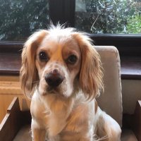 Blane Boon (@blaneboon) 's Twitter Profile