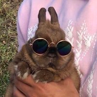 Hopper (@jusstkickinit) 's Twitter Profile