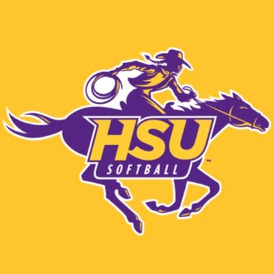 cowgirlsoftball Profile Picture