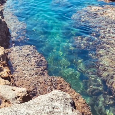 SciPragya's profile picture. Identity never varies!