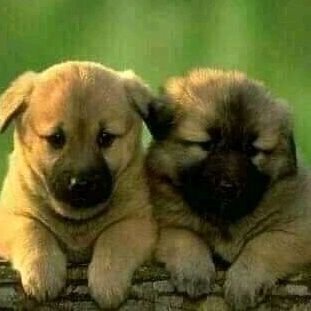 AdlabzA's profile picture. cri yg serius