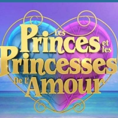 les princes de L'amour 8 
du lundi au jeudi sur W9