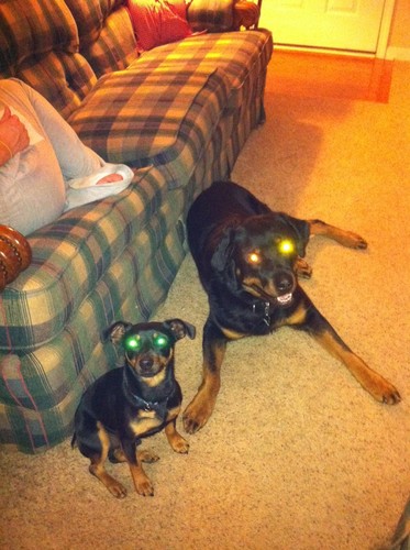 Chip3Bag's profile picture. Lifelong #Braves Fan.