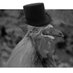Sylvan (@sylvan013) Twitter profile photo Sylvan (@sylvan013) Twitter profile photo