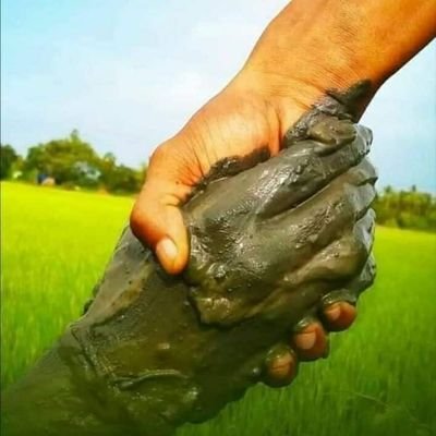 STPJaiHind1's profile picture. योगी सरकार 
सबसे असरदार