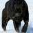 m_marie01's profile image