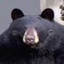Paul (@central_idk) Twitter profile photo