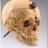 CovaGenis's profile image