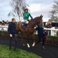 D.P.OโDwyer Bloodstock (@dpodbloodstock) 's Twitter Profile Photo D.P.OโDwyer Bloodstock (@dpodbloodstock) 's Twitter Profile Photo