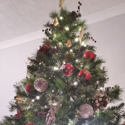 KJHolly's profile picture. 