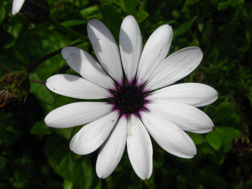 silverdollar68's profile picture. When Teotwawki comes those who are prepared will have no fear...