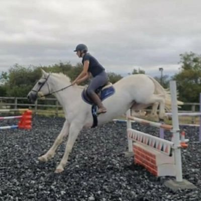 Dabble in the fine art of show jumping & showing. Diabetic T1
Insta:melaney_showjumper