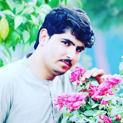 Anwaralmaas8's profile picture. afghan