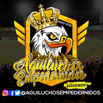 💛Mas Que Fanaticos Somos Una Familia💛
21🏆 Liga De Béisbol Profesional (LIDOM)
5 🏆 Series del Caribe
1🏆 Serie de las Américas