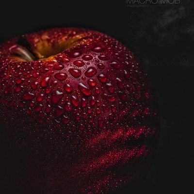 F9Uz2uHVcs49DHK's profile picture. قل خيراً أو أصمت