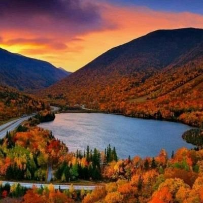 bJ7fZeUHjAPzW89's profile picture.