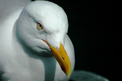 barblockie's profile picture. 