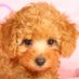 tori (@kzerq2) Twitter profile photo tori (@kzerq2) Twitter profile photo