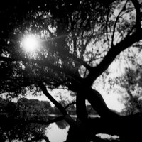 notforradio (@notforradio) 's Twitter Profile