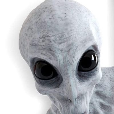 zenitram71's profile picture. Es tiempo de actuar