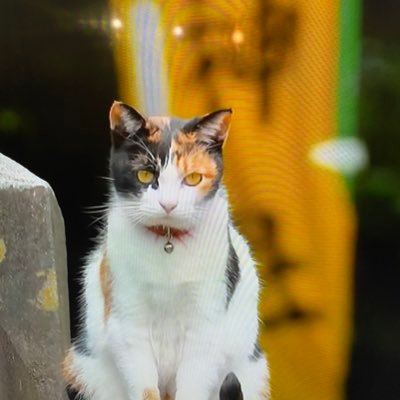 bKNflQy0u3OmFHj's profile picture. 