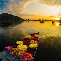 مُنيــره آل مشــدود (@madhmq) 's Twitter Profile