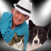 Ron Pia (@dogtalkspodcast) 's Twitter Profile