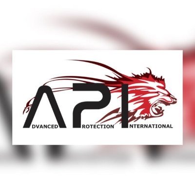 Advanced Protection International A.P.I. - SAS Protección avanzada de infraestructura aeroportuaria, portuaria, fronteras, carreteras, peajes, carceles y seguri