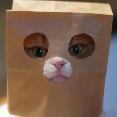 xjAu0MezRffyz6R's profile picture. 元嘘ゲップ世界チャンピオン　　　　　　　　          
                        　　　　　　　　　　　
福岡・佐賀でバス釣りしてます