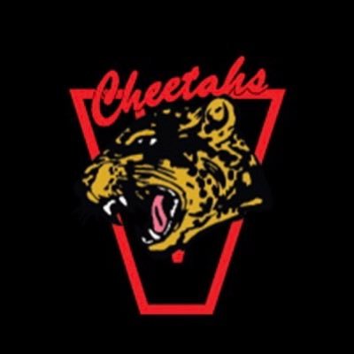 Official twitter page of the Vanier Cheetahs men's basketball team.