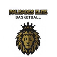 Palisades Elite (@palisadeselite) 's Twitter Profile