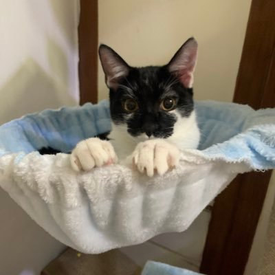 andy5566w's profile picture. 