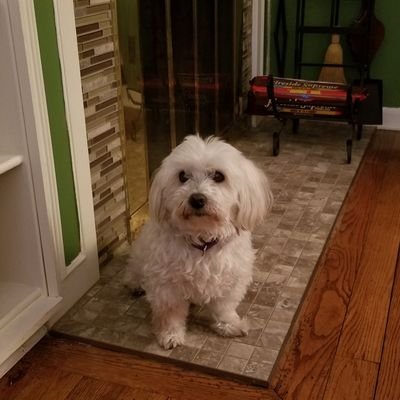 Dog mom to Cotey. Meemo to my sweet grandsons. Wine and night sky lover.