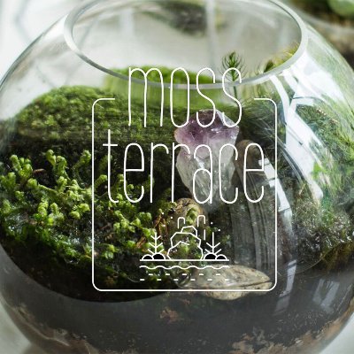 mossterraceは、苔テラリウムの制作や収集などをライフワークとする苔テラリスト（苔テラリウム愛好家）のコミュニティーです。
イベントや展示等を中心に、スクールやコンペティションなどもおこない、苔テラリウムの魅力を全国へと広げてまいります。