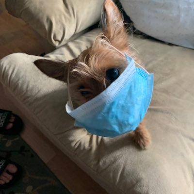 nickyz333's profile picture. 