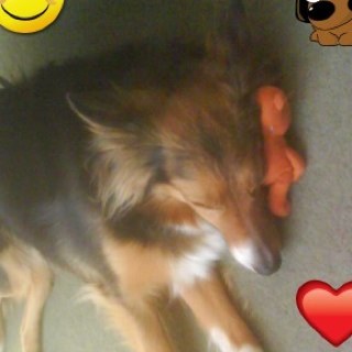 markpendle's profile picture. 