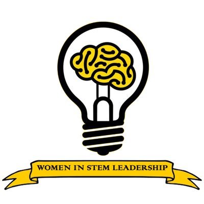 Women in STEM Leadership (WISL) is the premier organization for empowering women with the support and tools needed to elevate their career in the STEM industry.